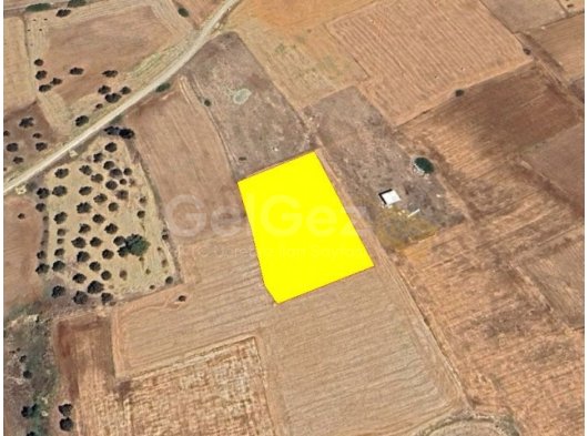 GÖNENDERE'DE YATIRIM VE YAŞAM İÇİN BURAYI KAÇIRMAYIN