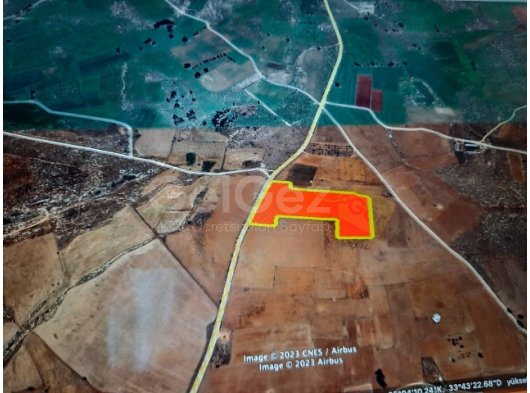 GAZİMAĞUSA TÜRKMENKÖY BÖLGESİNDE SATILIK 32 DÖNÜM TARLA