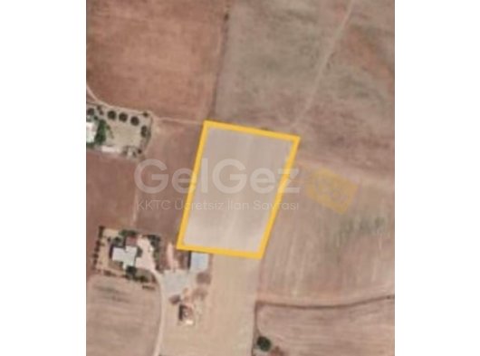 Dağyolu/GİRNE'de 3 dönüm çok güzel konumda, evlere yakın, yolu, suyu, elektriği olan arazi satılıktır.