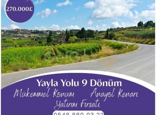 Güzelyurt Yayla Yolu Üzeri Anayola Cephesi Olan Yatırımlık 9 Dönüm Arazi
