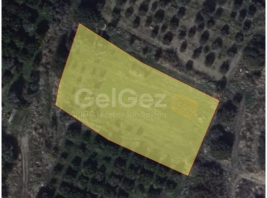 Baĝlıköy/LEFKE'de 1 dönüm, Türk koçanlı arazi satılıktır. 0542 880 02 22