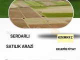 SERDARLI'DA SATILIK TÜRK KOÇANLI ARAZİ