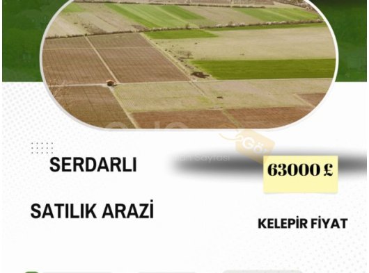 SERDARLI'DA SATILIK TÜRK KOÇANLI ARAZİ