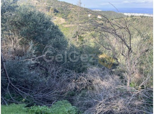 Yeşiltepe'de 700m2 Satılık Arsa