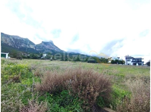 Zeytinlik'te 600m2 Satılık Arsalar