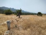 TATLISU'DA SATILIK 600M2 ÜZERİNDE ARSA