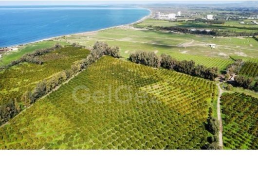 YEŞİLYURT  LEFKE’DE SATILIK ARSA