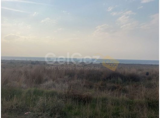 YAYLA GÜZELYURT SATILIK YATIRIMLIK ARAZİ