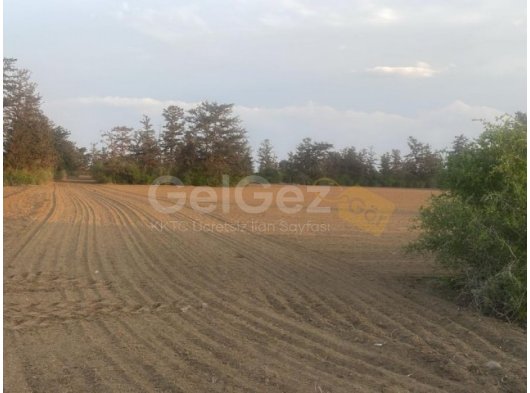 KALKANLI/GÜZELYURT'DA SATILIK KELEPİR ARAZİ