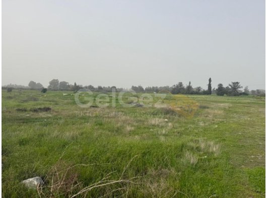 YEŞİLYURT/LEFKE'DE TÜRK TAPULU SATILIK ARAZİMİZ.