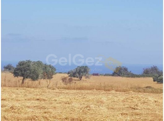 Iskele dipkarpazda satılık imara açık tarla