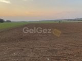 KALKANLI/GÜZELYURT'DA KELEPİR SATILIK ARAZİ
