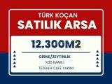 GİRNE ZEYTİNLİKTE TEZGAH KAFE YAKINI 12.300M2 HARİKA KONUMDA SATILIK ARSA