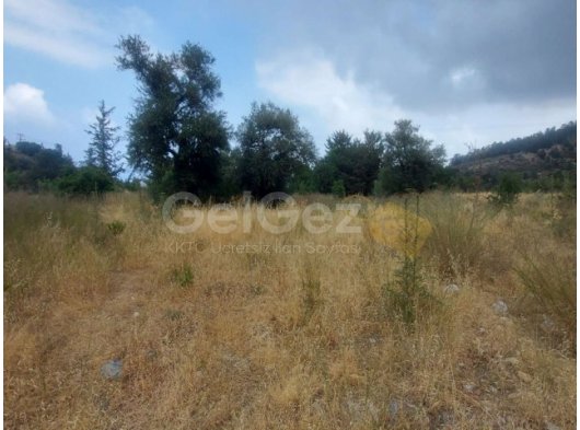 Lapta'da Satılık 1800 m²'den Büyük Birinci Sınıf İnşaat Arsası