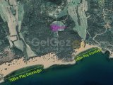 Dipkarpaz'da Plaja Yürüme Mesafesinde 14.569m² Satılık Arazi! (Özel Plaj Niteliğinde)