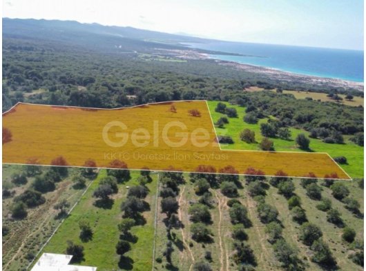 Dipkarpaz'da 17 Dönüm 3 Evlek İmarlı Satılık Arazi! (İmarın son noktası)