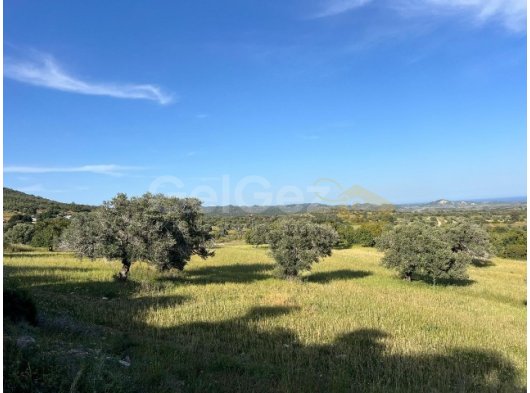 Sipahi Köyünün Güney Cephesinde 7.970m² Yatırıma Uygun Türk Malı Fırsat Arazi!