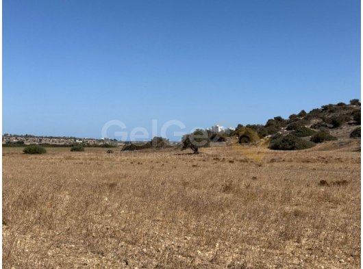 İskele Yarköyde 38 Dönüm Tarla