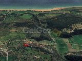 İSKELE TAŞLICA 3,157M² BÖLGESİ DENİZE 1,300M TARLA