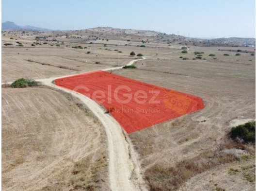 YATIRIM İÇİN BÜYÜK FIRSAT 2 DÖNÜM YARKÖY GELİŞİM BÖLGESİNDE DENİZE 1500MTARLA*