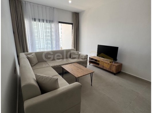 1+1 kiralık daire,sezar blue