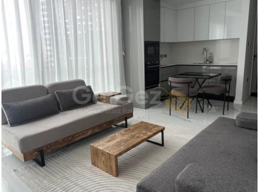 1+0 lüx stüdyo ,long beach’te,panaroma