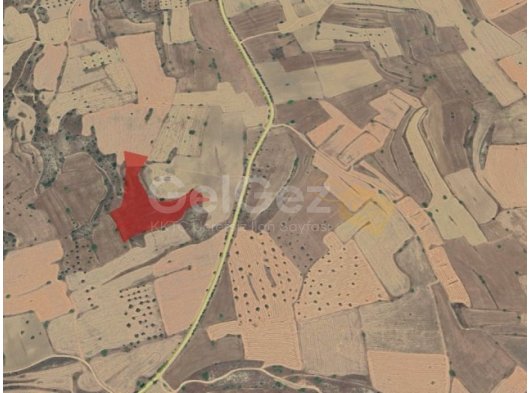 İSKELE TUZLUCA 13.3 DÖNÜM -3+1 DAİRE TAKASLI TARLA