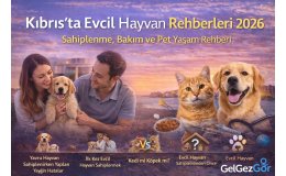Kıbrıs’ta Evcil Hayvan Rehberleri 2026 | Sahiplenme, Bakım ve Pet Yaşam Rehberi