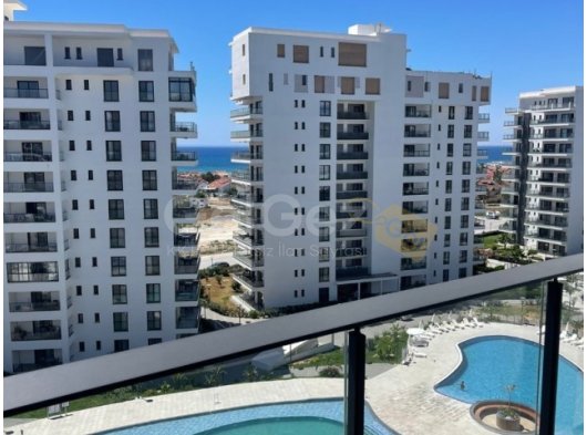 1+0 stüdyo,iskele sezar blue