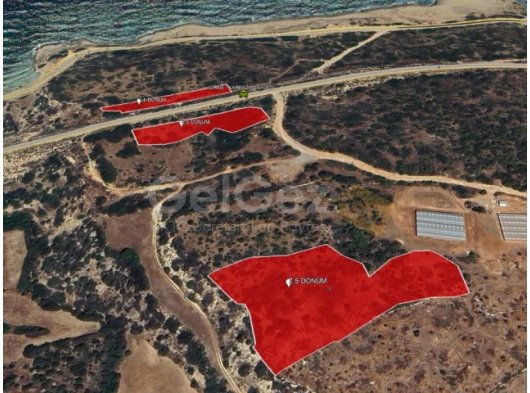 YATIRIM FIRSATI! DENİZE ÇOK YAKIN KAPLICA BÖLGESİNDE SATILIK TARLALAR *