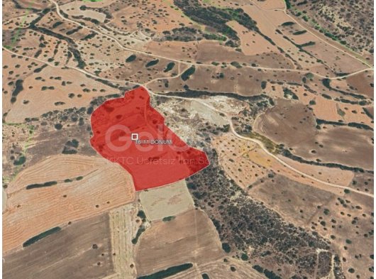 İSKELE KİLİTKAYA TÜRK KOÇANLI 16,11 DÖNÜM (21565,95 METREKARE) TARLA