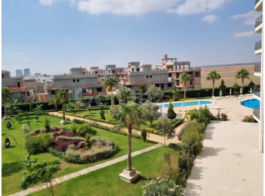 2+1 kiralık,long Beach’te edelwaiss projesi