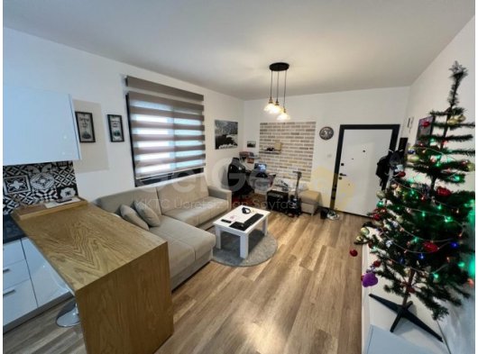 1+1 kiralık,Long Beach’te sezar reaort