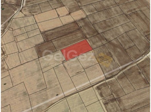 GAZİMAĞUSA AKOVADA ACİL SATILIK 5174M² TARLA- DÖNÜMÜ 8150STG
