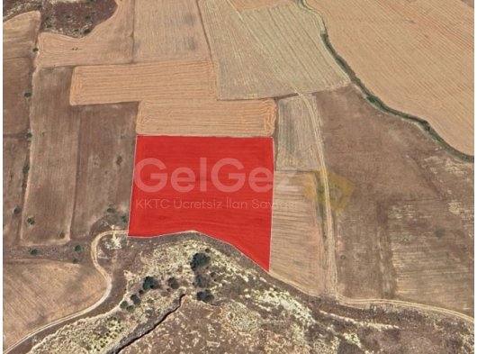 GAZİMAĞUSA NERGİSLİ 10 DÖNÜM 3 EVLEK İMARA KAPALI SATILIK TARLA