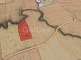 GAZİMAĞUSA- LEFKOŞA ANAYOLUNA 350M MESAFEDE FASIL96 PİRHAN KÖYÜ ÇIKIŞI 4940M² TARLA *