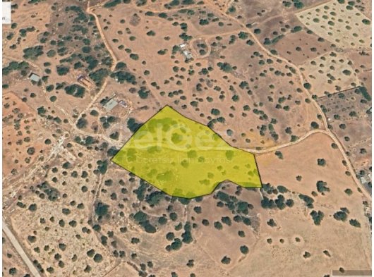 İSKELE BÜYÜKKONUKTA İMARA AÇIK ARAZİ ACİL SATILIK !!