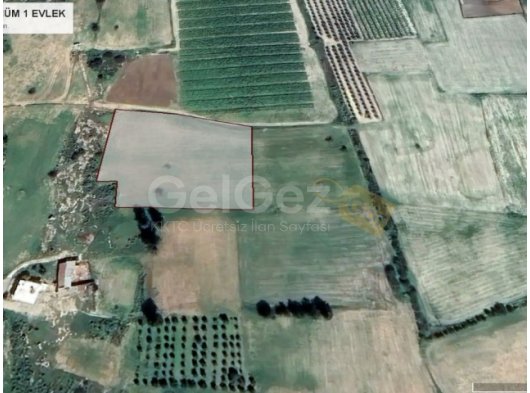 İSKELE KUZUCUK AYGÜN ARASINDA KONUT İMARLI ARAZİ