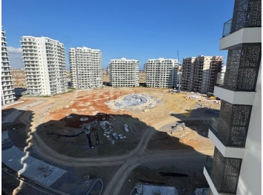 3+1 kiralık,long beach’te sezar 6