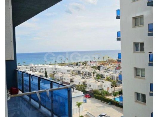 ROYAL LIFE/ POSEIDON/ STUDYO/ EŞYALI