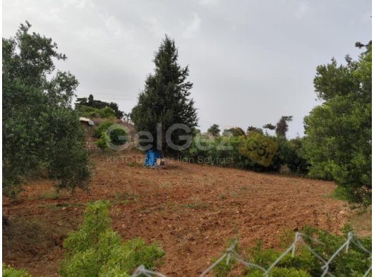 DOĞA İLE İÇ İÇE BİR YAŞAM ARZULAYANLAR İÇİN KONUT İMARLI FIRSAT ARSA