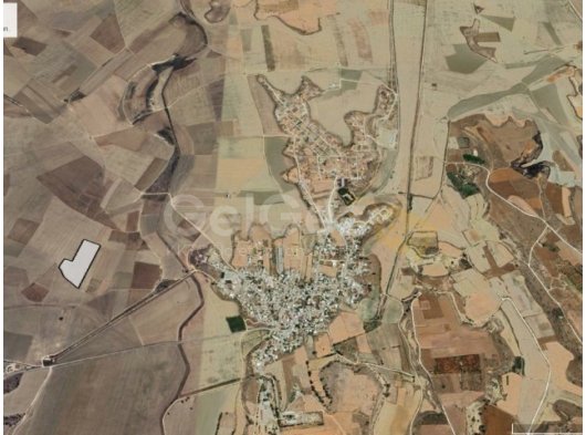 MAĞUSA GÜVERCİNLİKTE 23 DÖNÜM TARIM ARAZİSİ