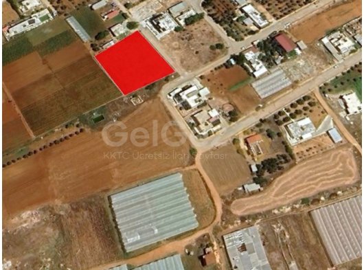 MAĞUSA MARAŞ YENİ SAĞLIK OCAĞINA YAKIN KONUT İMARLI ARSA