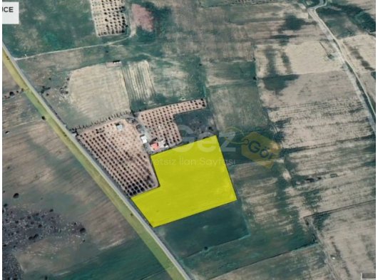 MAĞUSAYA BAĞLI SÜTLÜCE KÖYÜNDE 13 DÖNÜM TÜRK TAPULU FASIL 96 ARAZİ