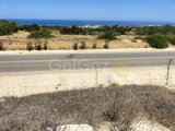 TATLISU BÖLGESİNDE SATILIK DENİZ MANZARALI ANAYOLA SIFIR İMARLI ARSA