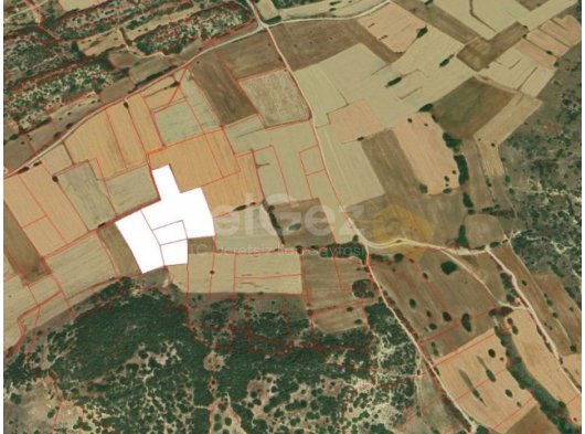 DİPKARPAZ SANCARPAŞA (GÜNEY) 20 DÖNÜM RESMİ YOL MEVCUT SATILIK TARLA *