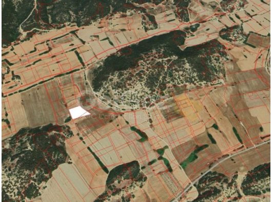 DİPKARPAZ POLATPAŞA (DOĞU) 4 DÖNÜM SATILIK TARLA *