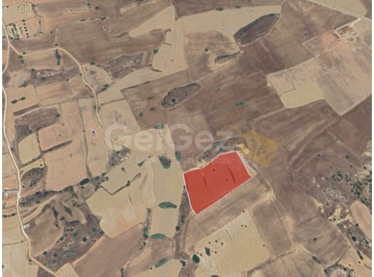 İSKELE ERGAZİ' DE SATILIK TARLA