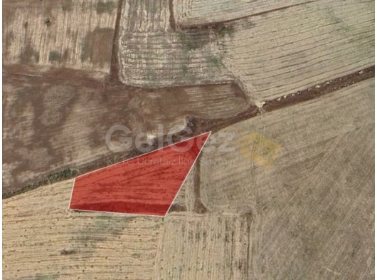 İSKELE KUZUCUK’TA SATILIK TARLA | YATIRIM FIRSATI