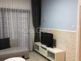 1+1 kiralık,long beach’te sezar 2 ,